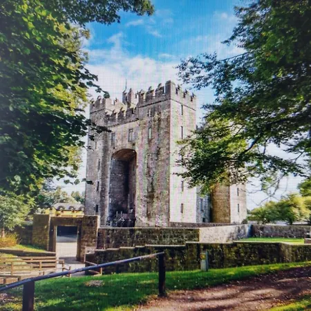 Vakantiehuis 3 Bed Semi-detached House In A Quite Estate *